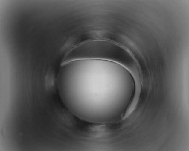 X0000094920132200712061116