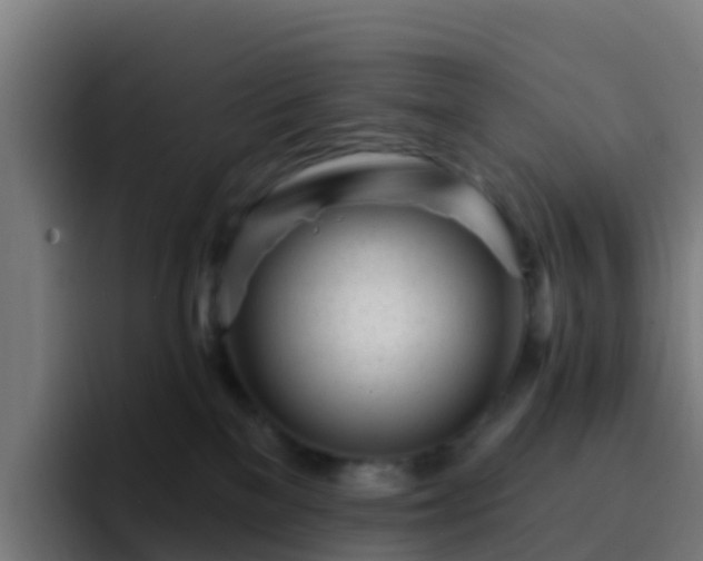 X0000094920137200712061116