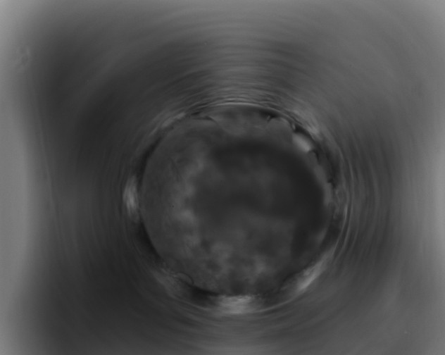 X0000094920143200712061116