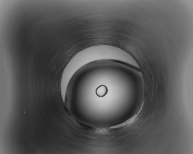 X0000094920144200712061116