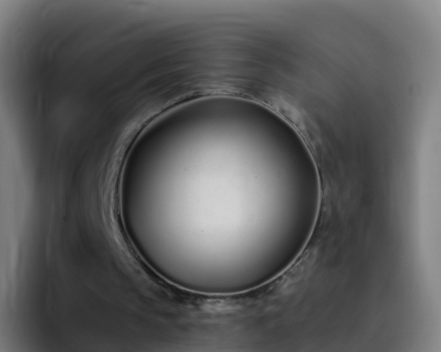 X0000094920145200712061116