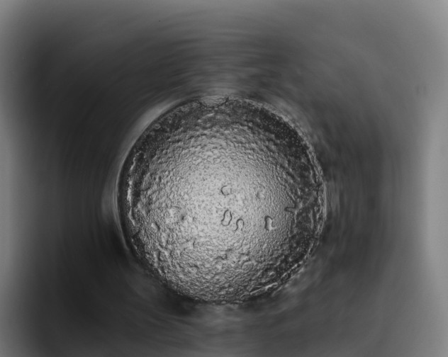 X0000094920147200712061116