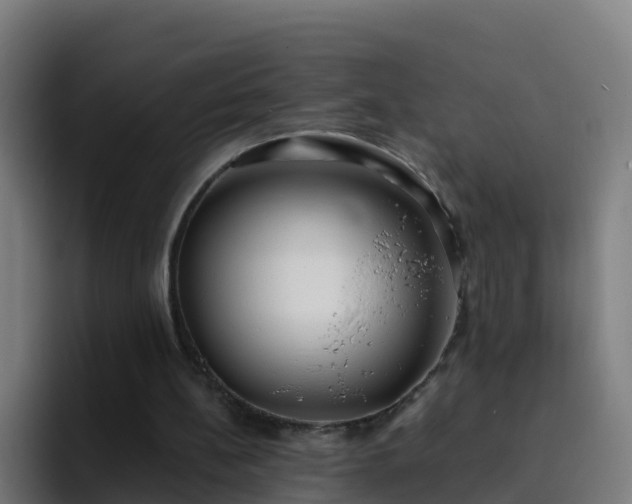 X0000094920148200712061116