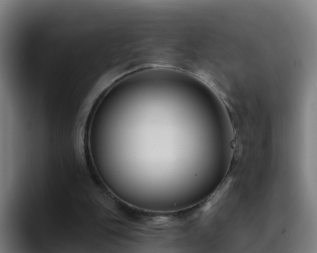 X0000094920151200712061116