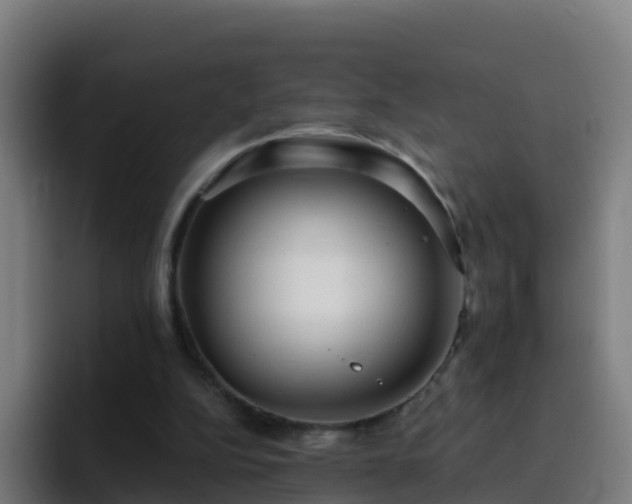 X0000094920152200712061116