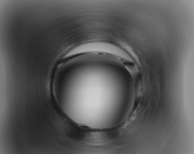 X0000094920154200712061116