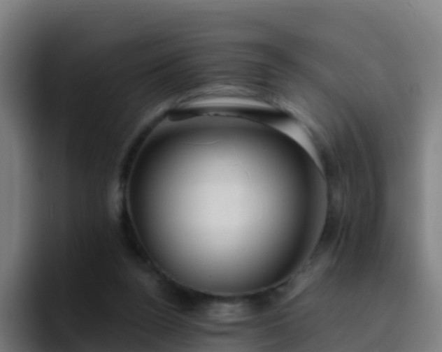 X0000094920160200712061116