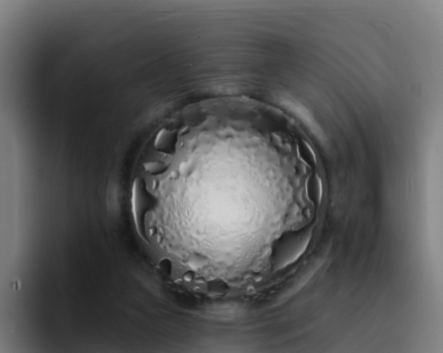 X0000094920161200712061116