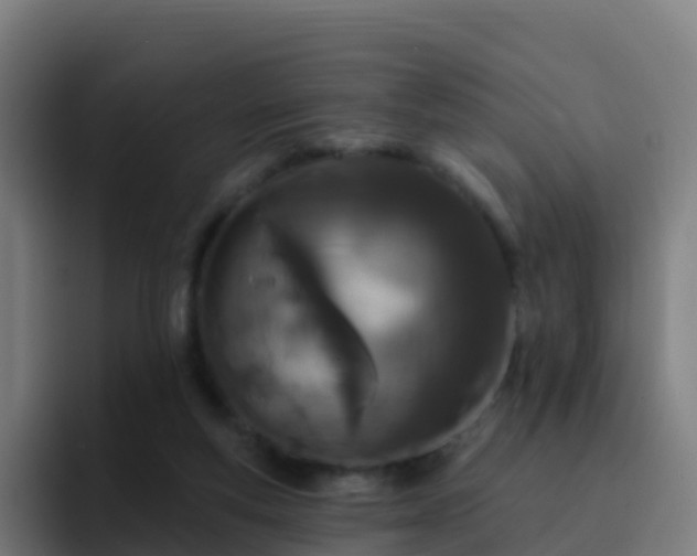 X0000094920163200712061116