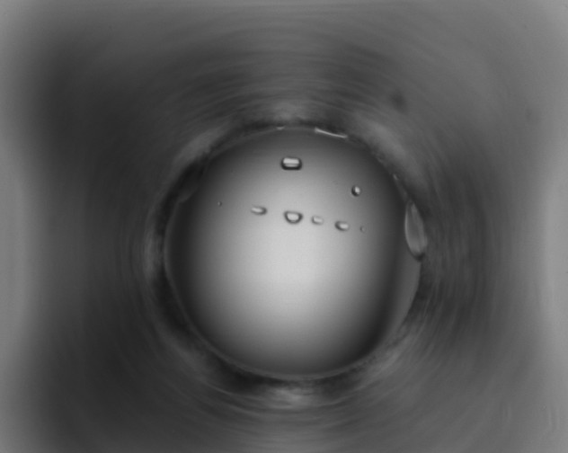 X0000094920164200712061116