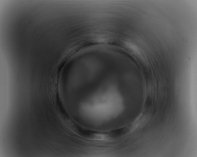 X0000094920167200712061116