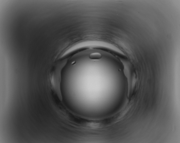 X0000094920168200712061116