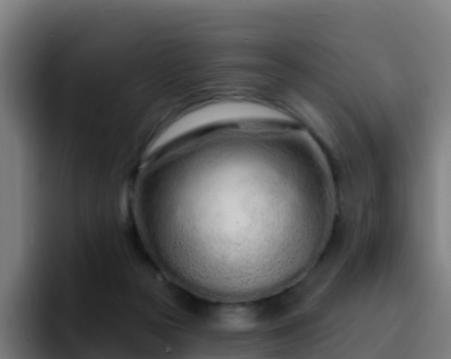 X0000094920169200712061116