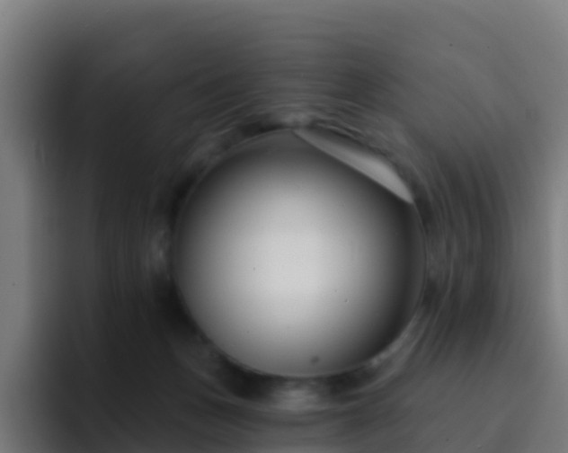 X0000094920175200712061116