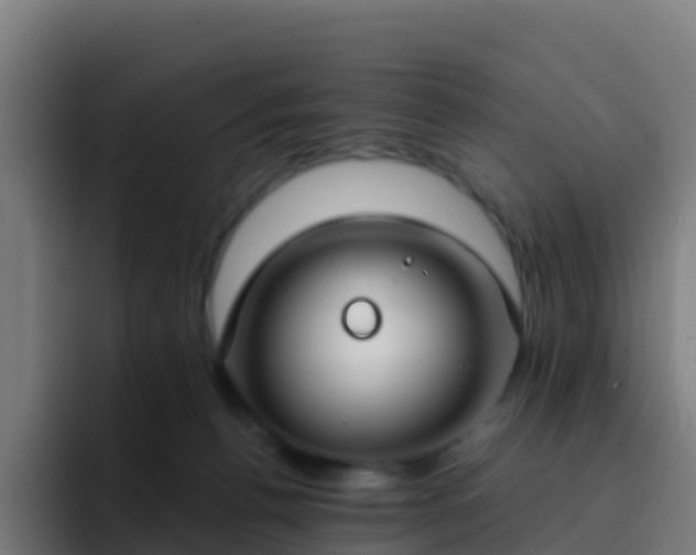 X0000094920176200712061116