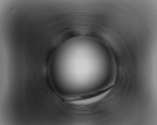 X0000094920177200712061116