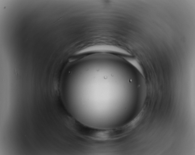 X0000094920178200712061116