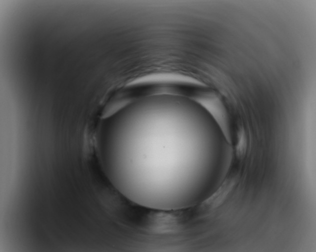 X0000094920180200712061116