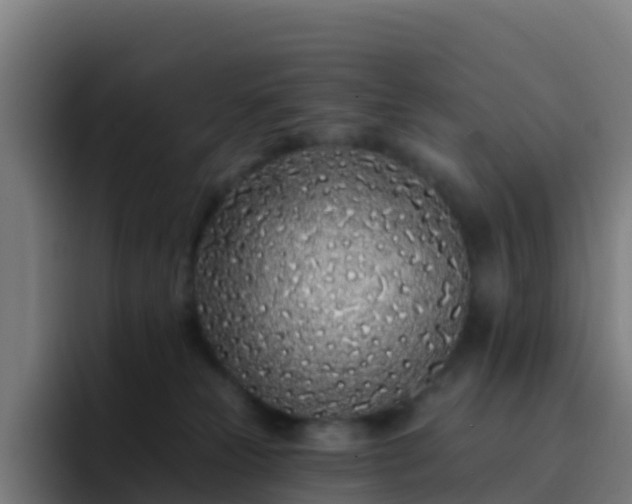 X0000094920181200712061116