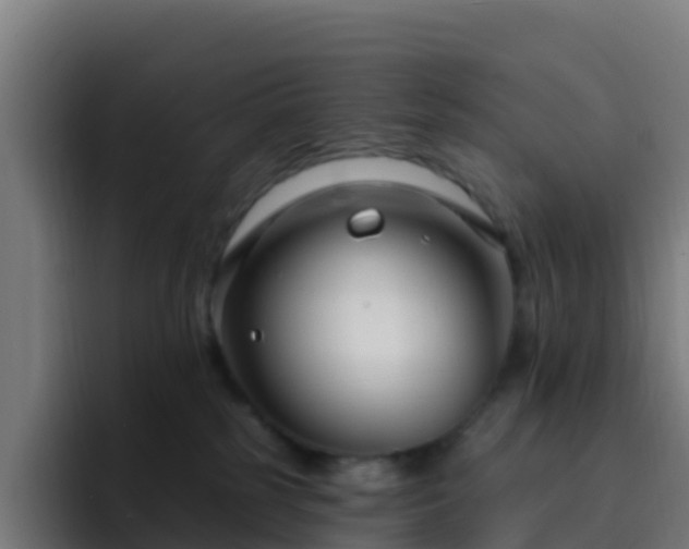 X0000094920185200712061116