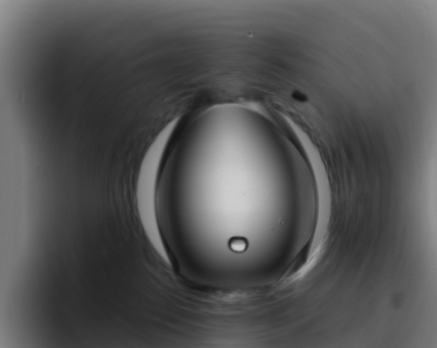 X0000094920186200712061116