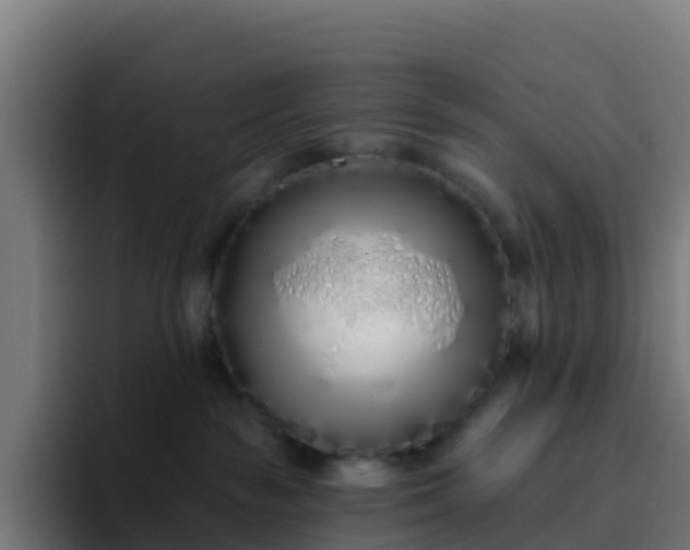 X0000094920189200712061116