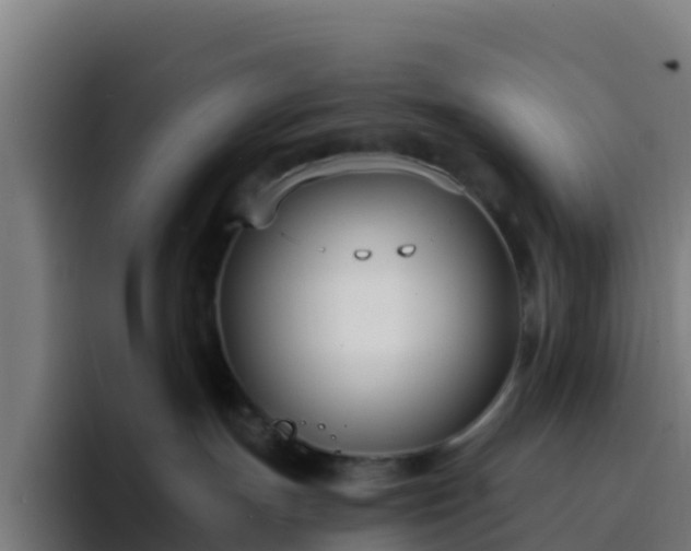 X0000094920191200712061116