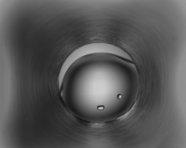 X0000094920192200712061116