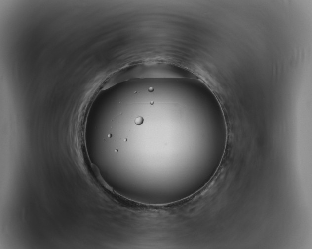 X0000094920193200712061116