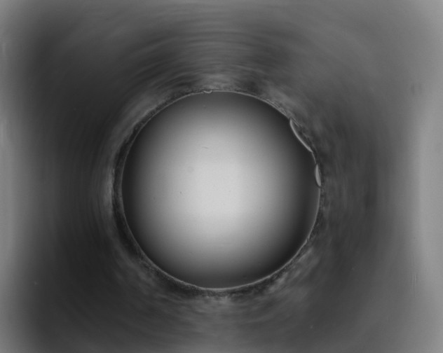 X0000094920194200712061116