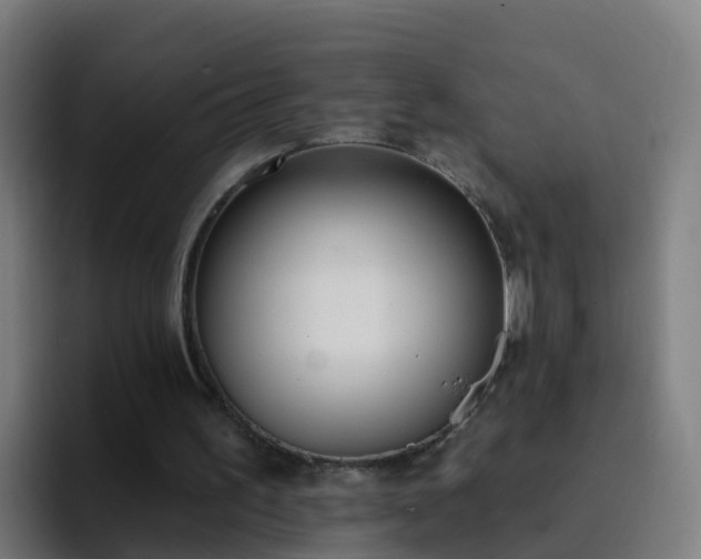 X0000094920195200712061116