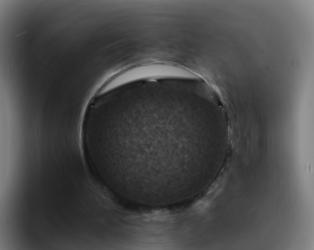 X0000094920196200712061116