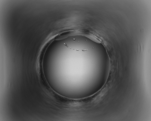 X0000094920198200712061116