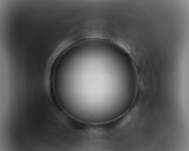 X0000094920199200712061116