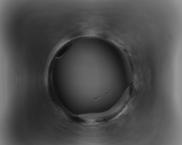 X0000094920200200712061116