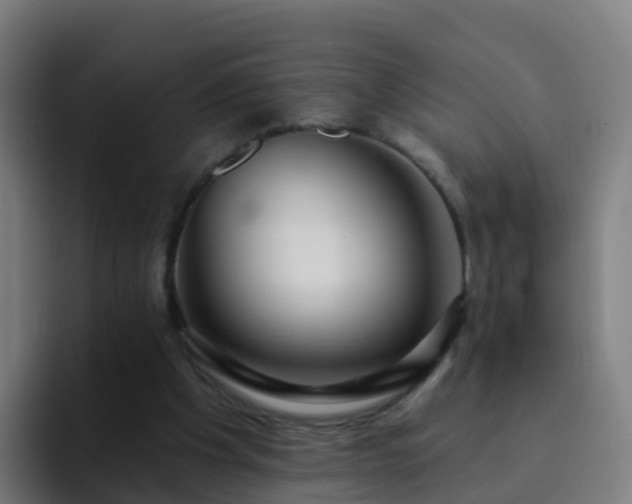 X0000094920201200712061116