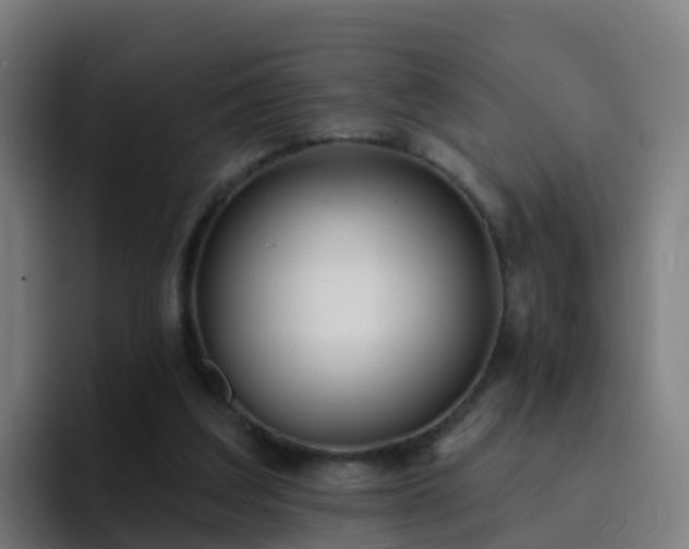 X0000094920203200712061115