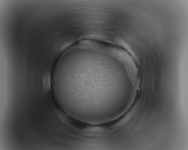 X0000094920205200712061115