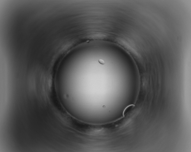 X0000094920206200712061115