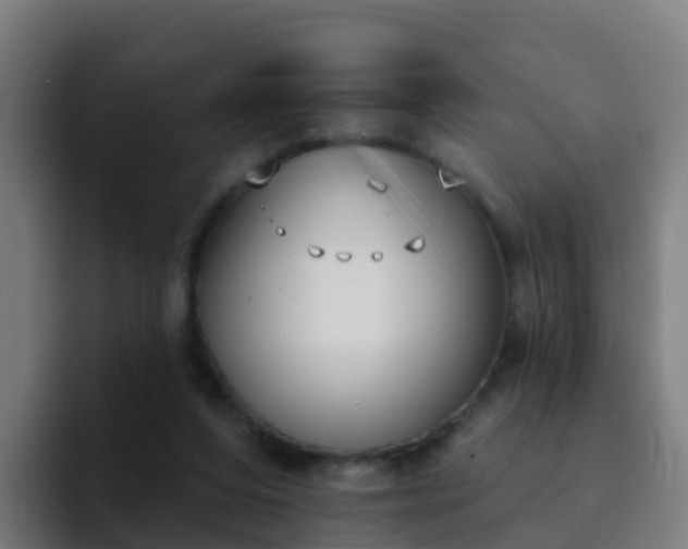 X0000094920208200712061115