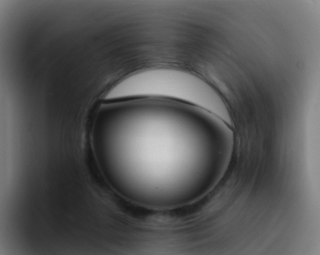 X0000094920211200712061115