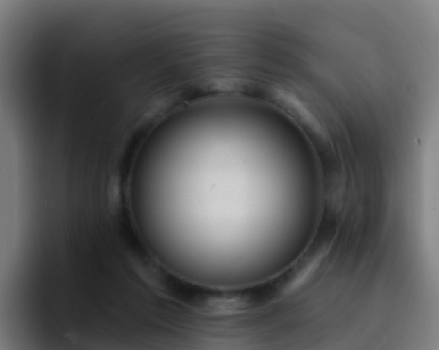 X0000094920213200712061115