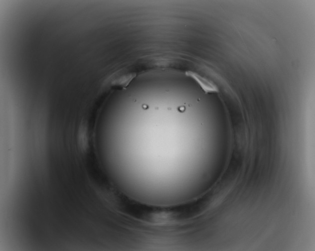 X0000094920216200712061115