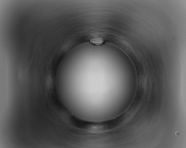 X0000094920220200712061115