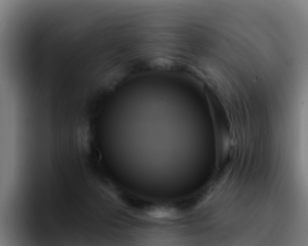 X0000094920223200712061115