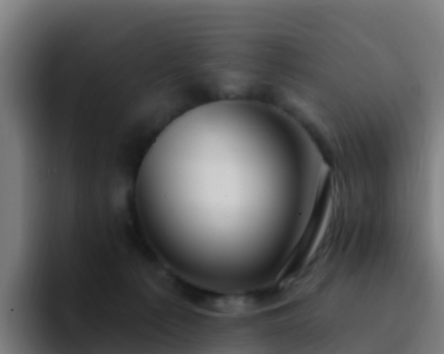 X0000094920225200712061115