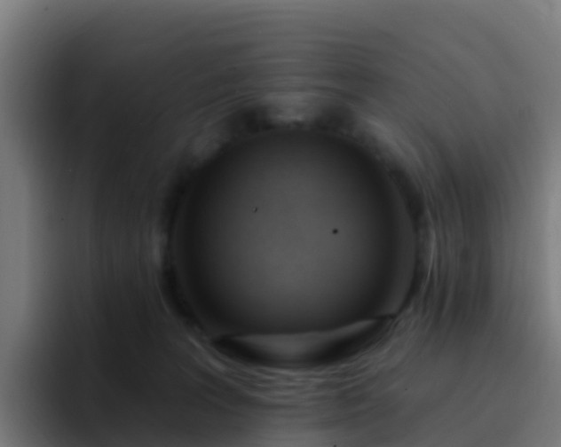 X0000094920227200712061115