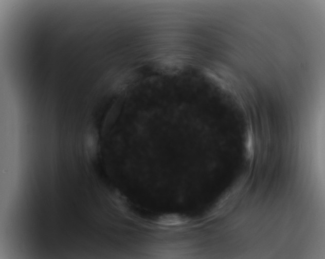 X0000094920231200712061115