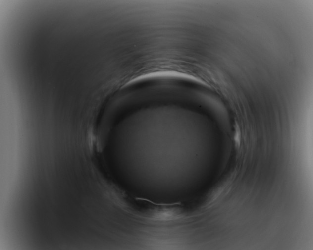 X0000094920235200712061115