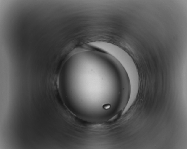 X0000094920237200712061115